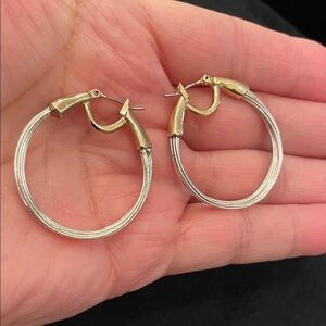Robert Lee Morris Gold and Silver Tone Hoop Earrings